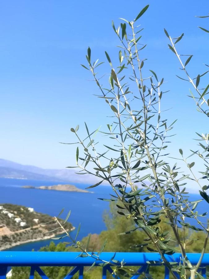 Villa Iokasti Pefkali Dış mekan fotoğraf